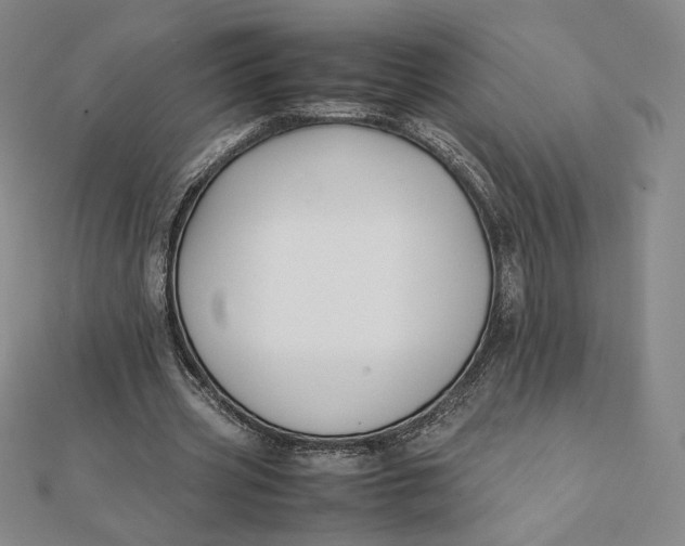 X0000112070533200908251044