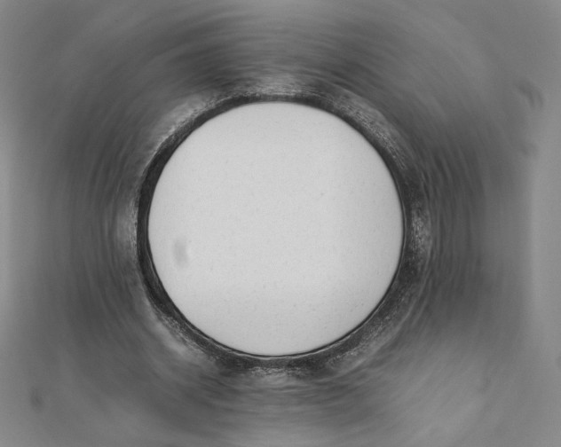 X0000112070534200908251044