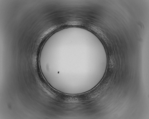 X0000112070535200908251044