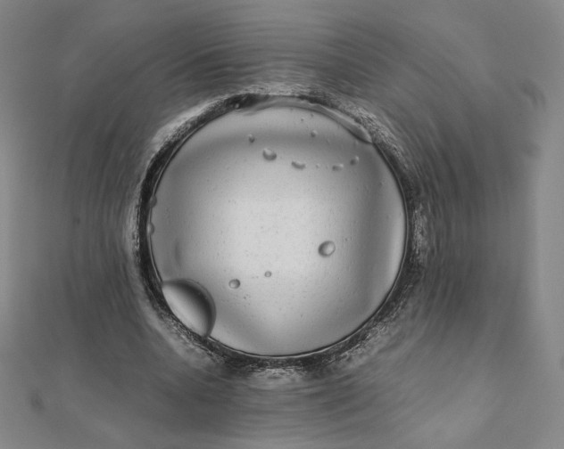 X0000112070536200908251044