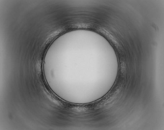 X0000112070537200908251044
