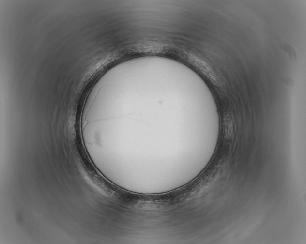 X0000112070538200908251044