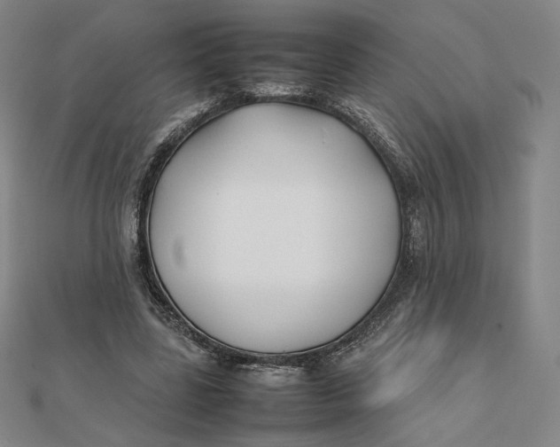 X0000112070539200908251044