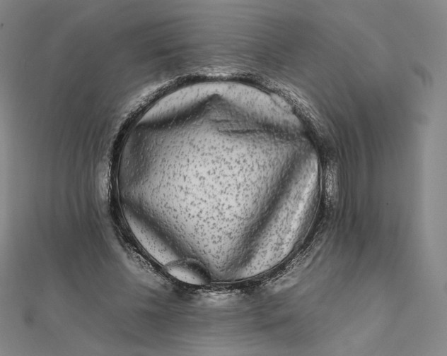 X0000112070540200908251044
