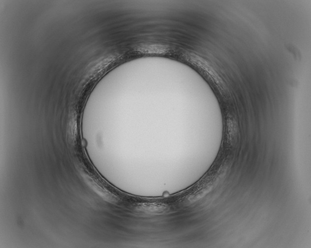 X0000112070541200908251044