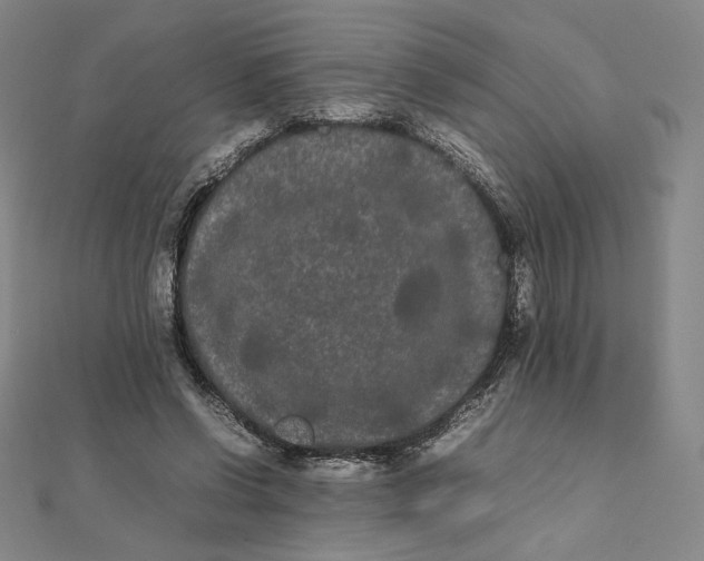 X0000112070542200908251044