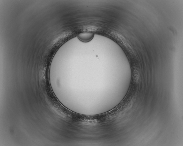 X0000112070543200908251044