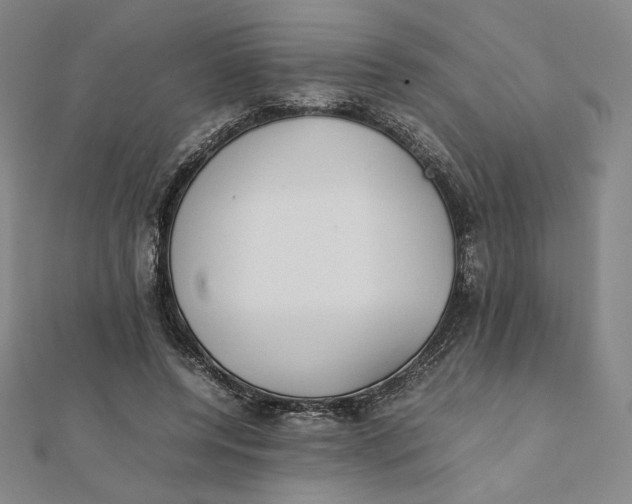 X0000112070544200908251044
