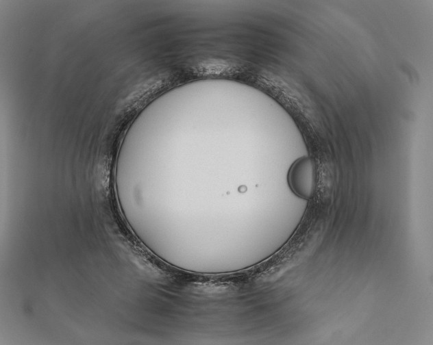 X0000112070545200908251044