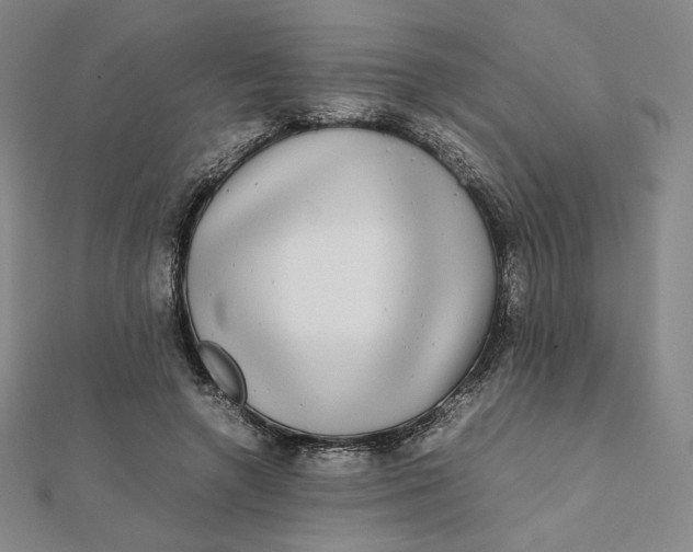 X0000112070546200908251044