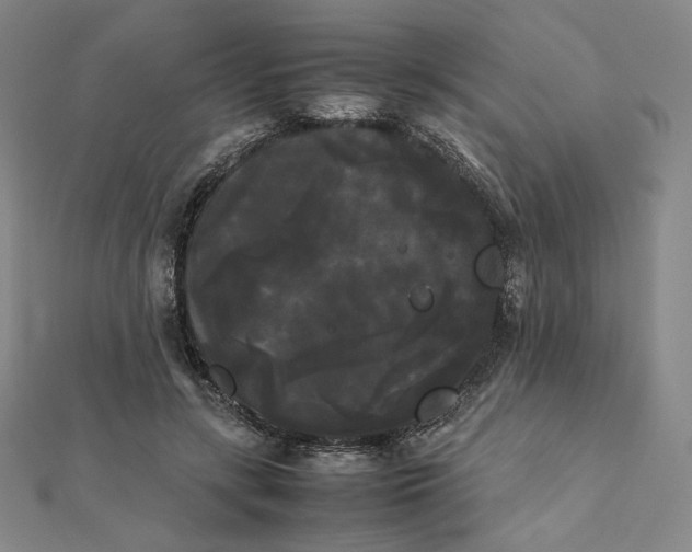 X0000112070547200908251044