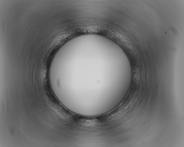 X0000112070548200908251045