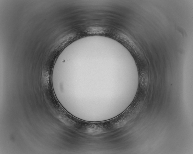 X0000112070549200908251045