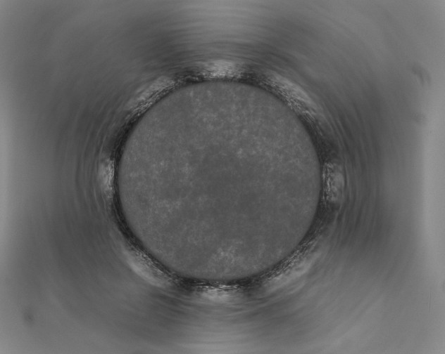 X0000112070550200908251045