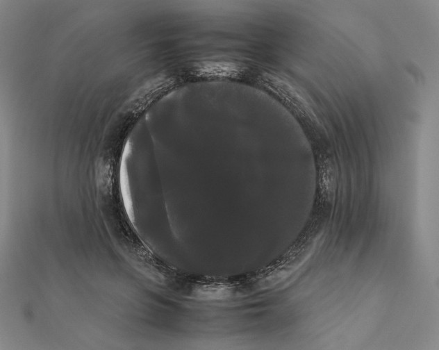 X0000112070551200908251045