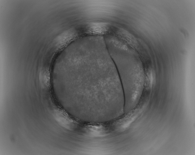 X0000112070552200908251045