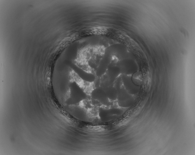 X0000112070553200908251045