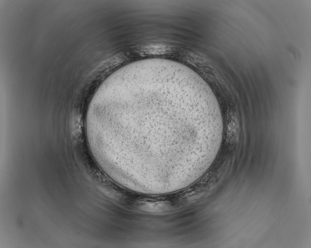 X0000112070555200908251045