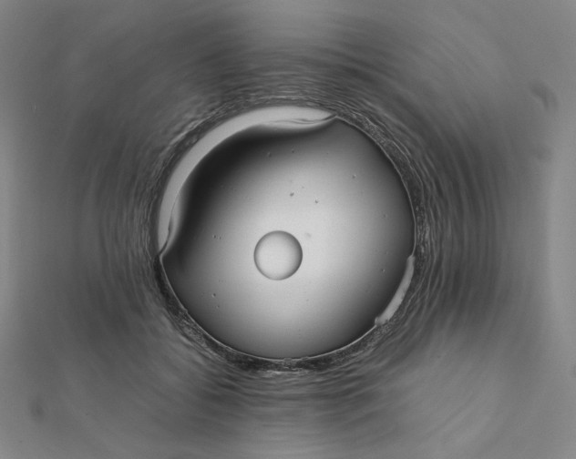 X0000112070556200908251045
