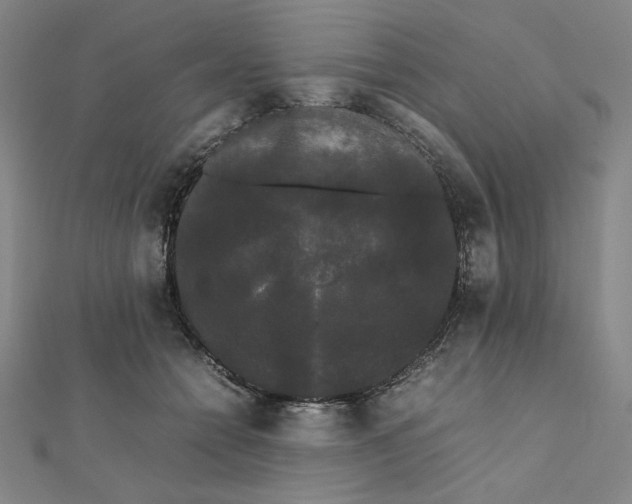X0000112070558200908251045