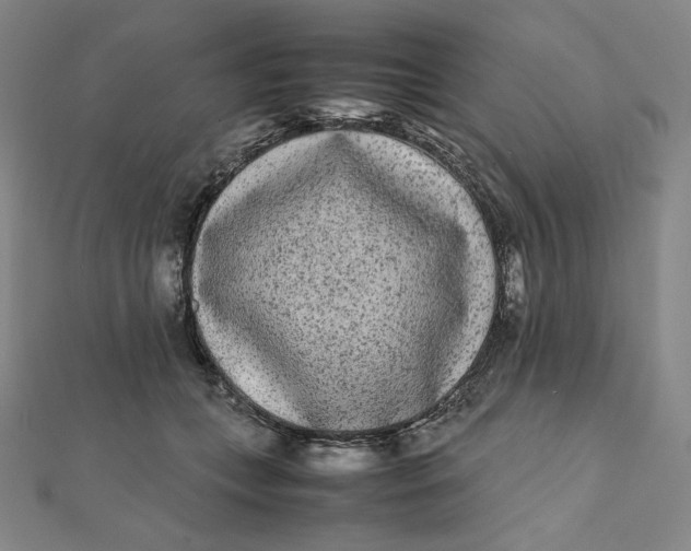X0000112070559200908251045