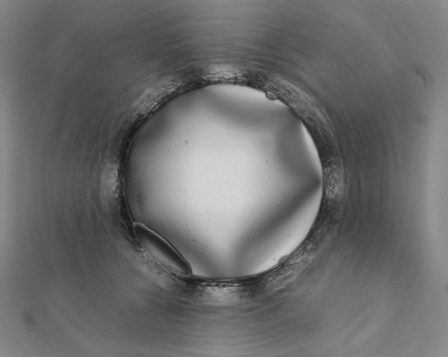 X0000112070560200908251045