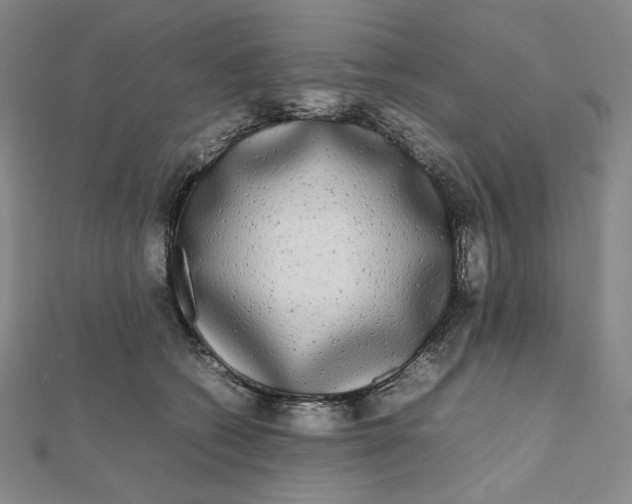 X0000112070562200908251045