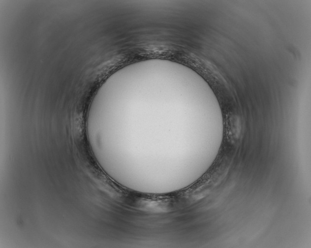 X0000112070563200908251045