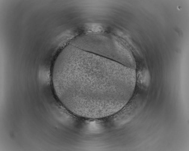 X0000112070564200908251045