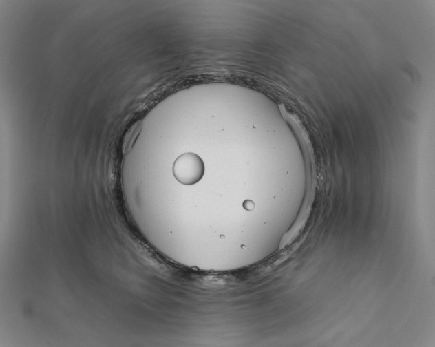X0000112070566200908251045