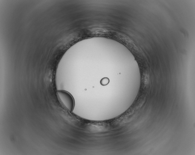 X0000112070567200908251045