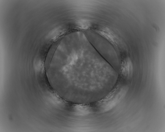 X0000112070568200908251045