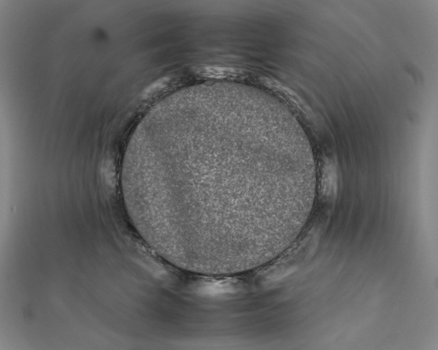 X0000112070569200908251045
