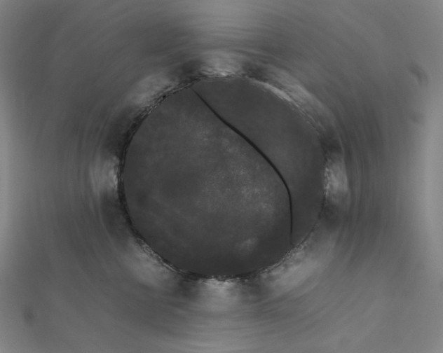 X0000112070570200908251045