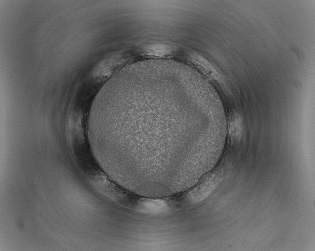 X0000112070572200908251045