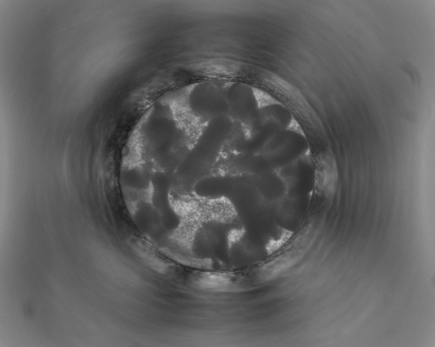 X0000112070573200908251045