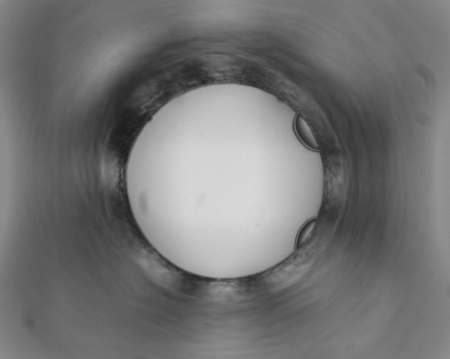 X0000112070574200908251045