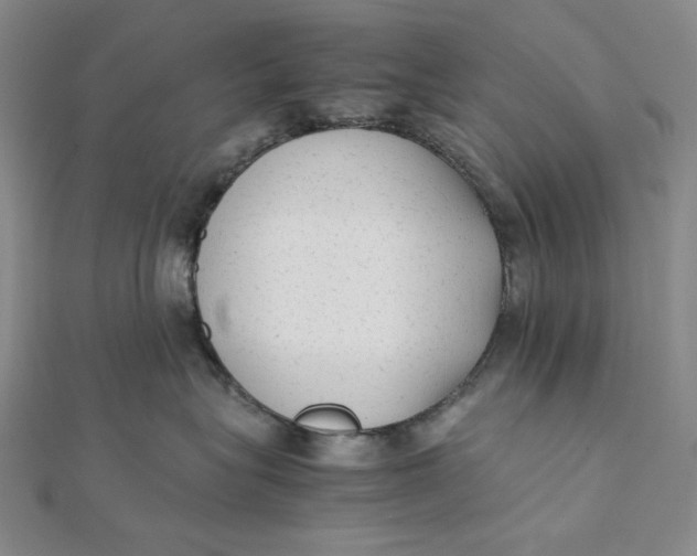 X0000112070575200908251045