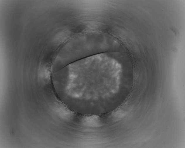 X0000112070576200908251045