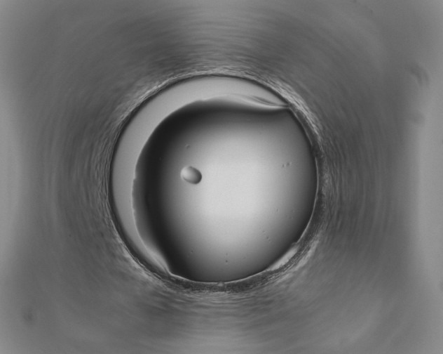 X0000112070577200908251044