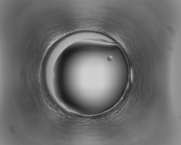 X0000112070579200908251044