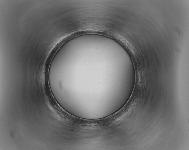 X0000112070580200908251044