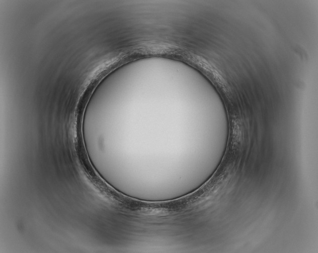 X0000112070582200908251044