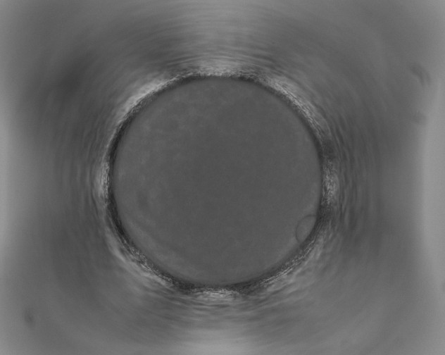 X0000112070583200908251044