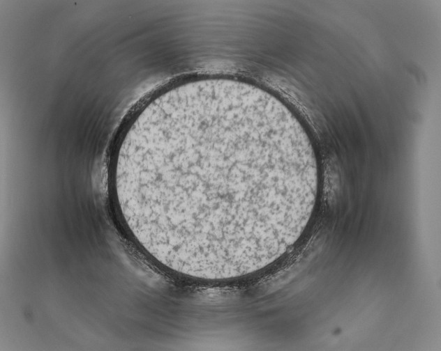 X0000112070584200908251044