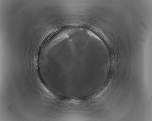 X0000112070585200908251044
