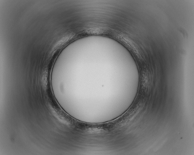 X0000112070586200908251044