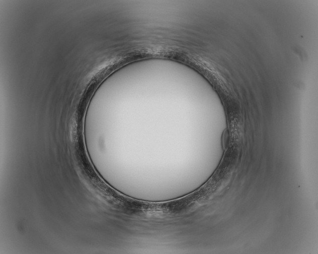 X0000112070587200908251044