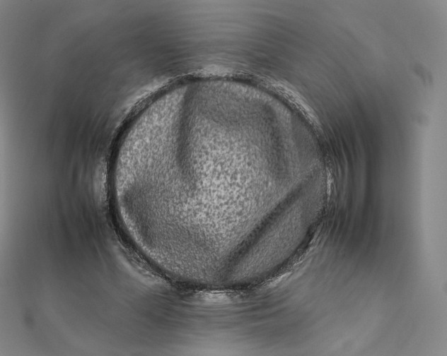 X0000112070588200908251044