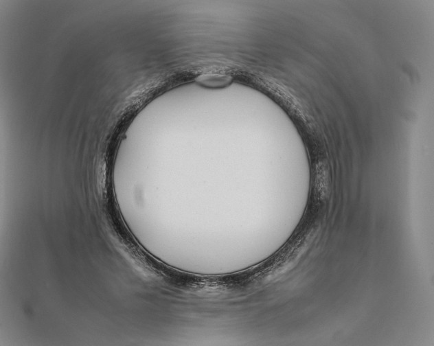 X0000112070589200908251044
